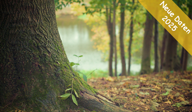 Waldwochenende Frühling